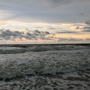 Meet your Posher, Macey